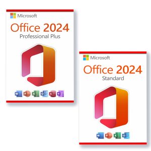 3 PC Office 2024 Standard + Office 2024 Professionnel Plus